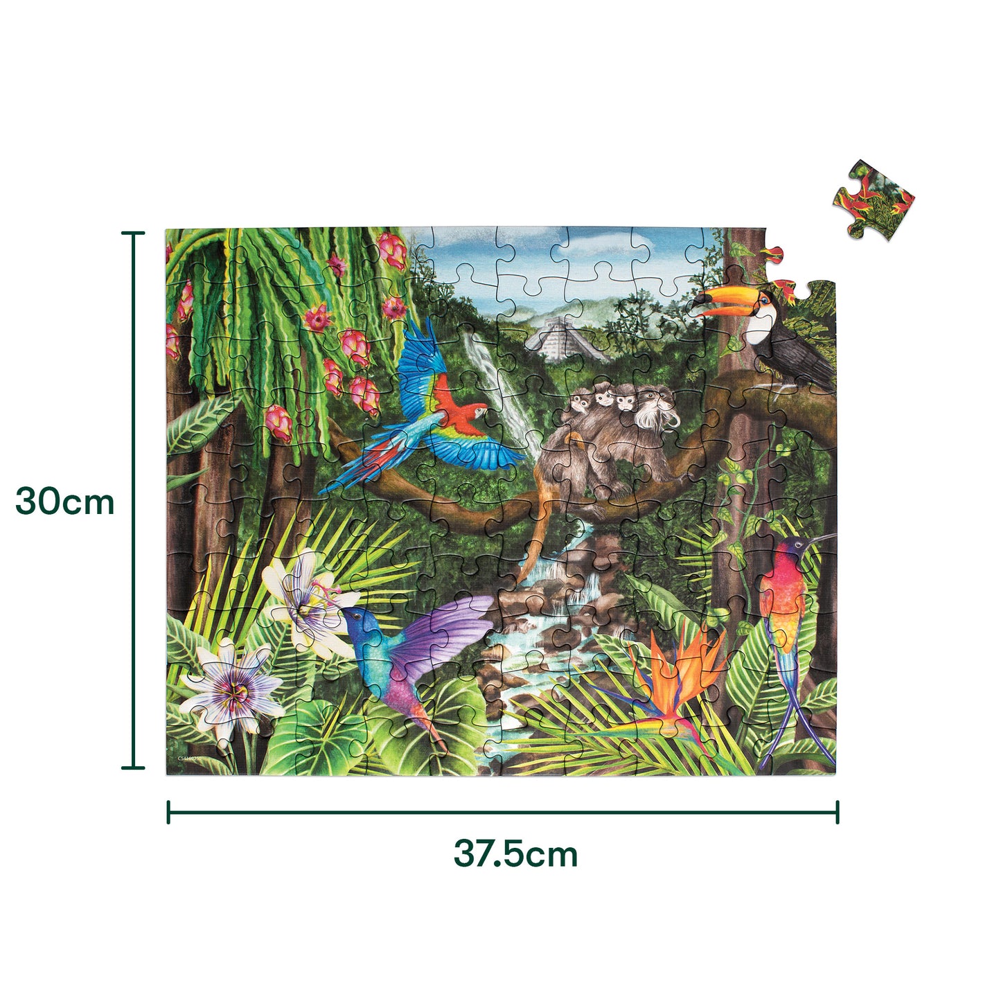 100-Teile-Puzzle - Dschungelleben
