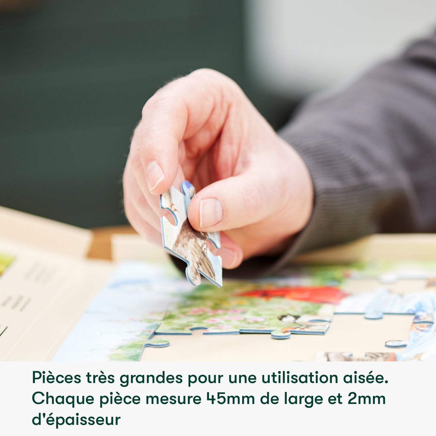 Puzzle 35 Stück-Dampfzug