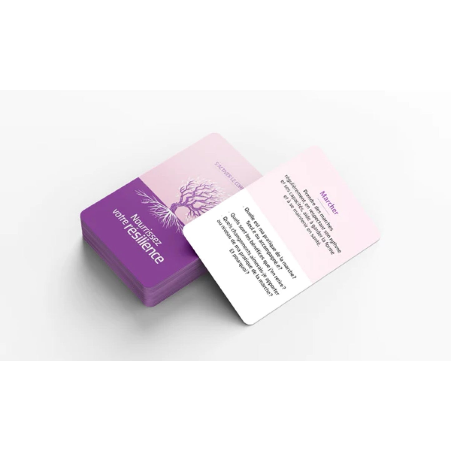 Card Box-Füttern Sie Ihre Belastbar keit