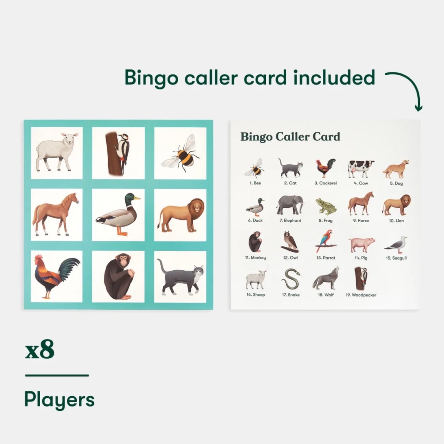 Animal Bingo