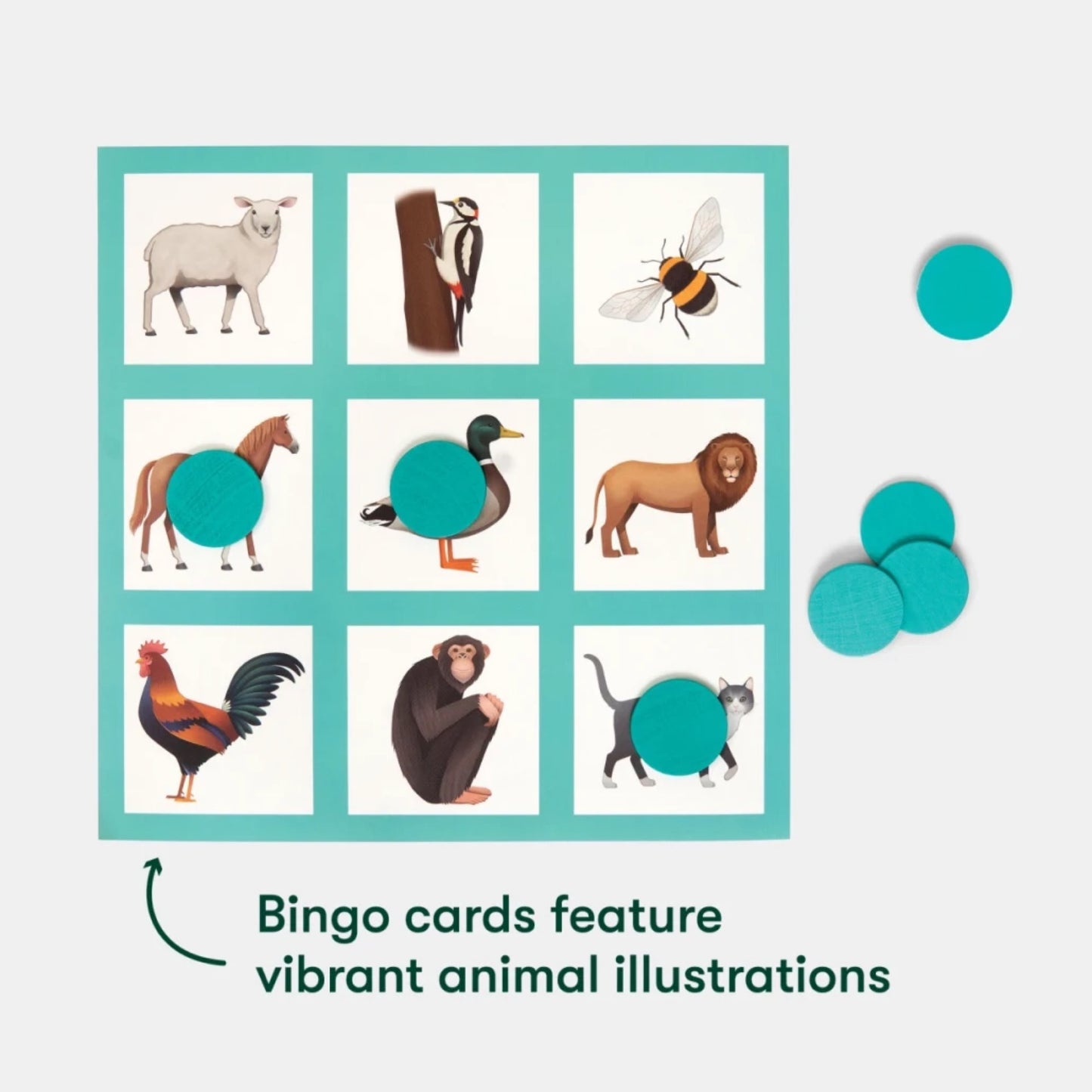 Animal Bingo