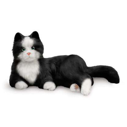 Interaktives Katzenplüschspielzeug für Senioren – Schwarz und Weiß