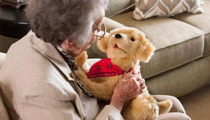 Interaktives Hunde-Stofftier für Senioren – Braun und Weiß