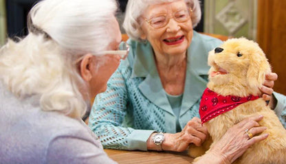 Interaktives Hunde-Stofftier für Senioren – Braun und Weiß