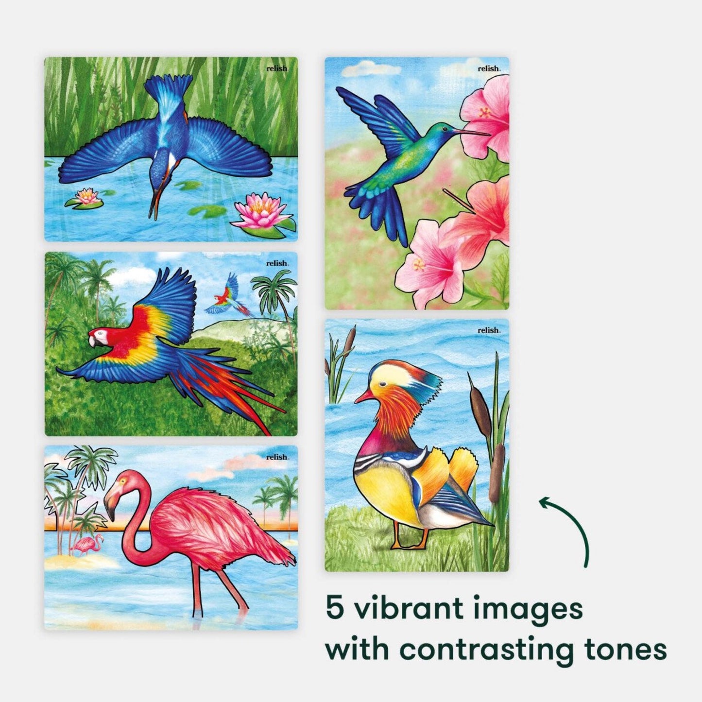 Peinture à l'eau - Magnifiques oiseaux