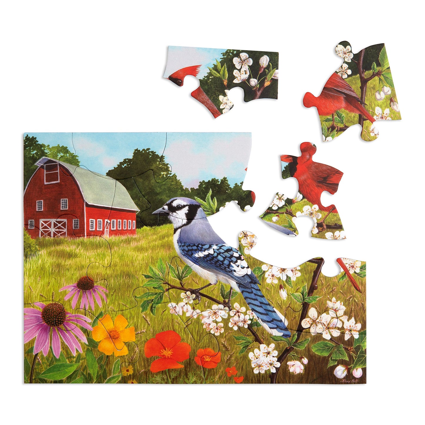 Puzzle 13 pièces - Summer Birds